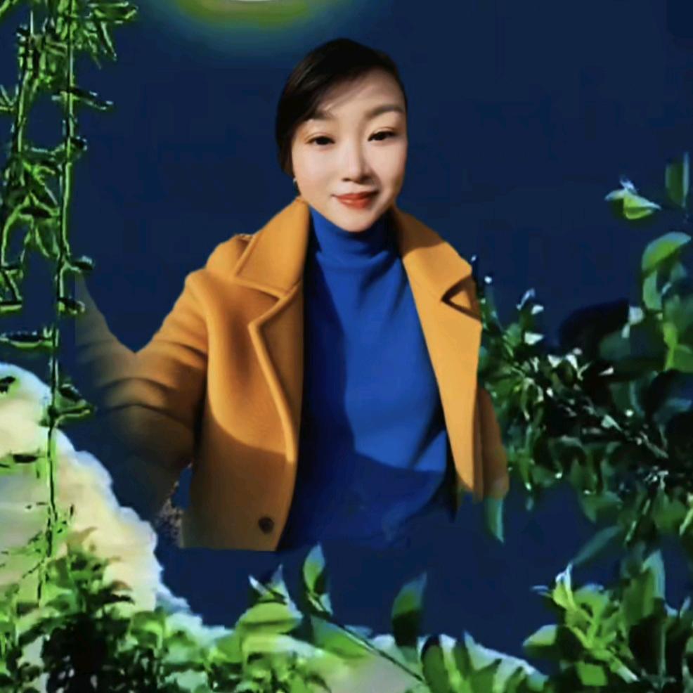 九菊