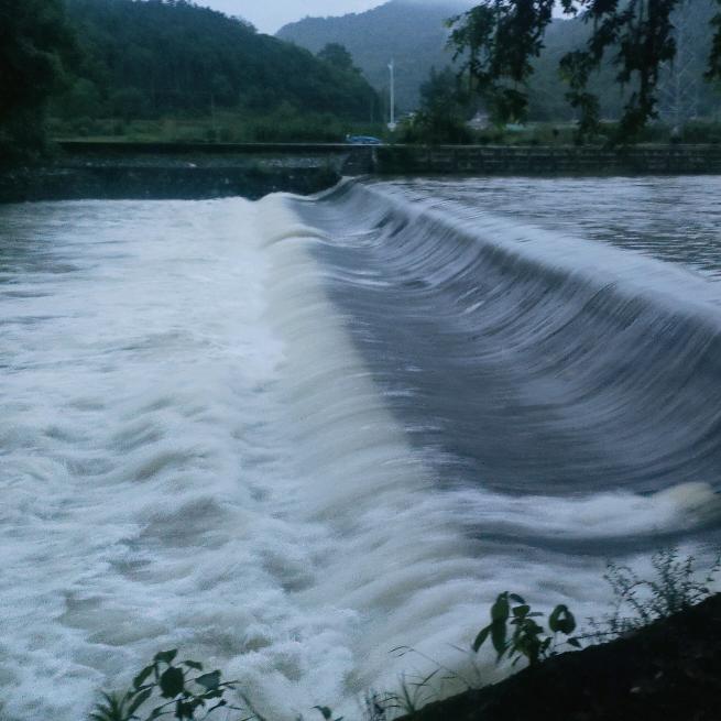 高沟A弟