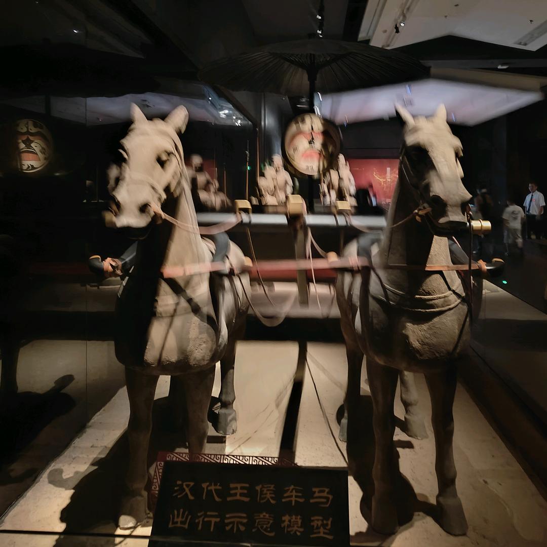 随风起飞