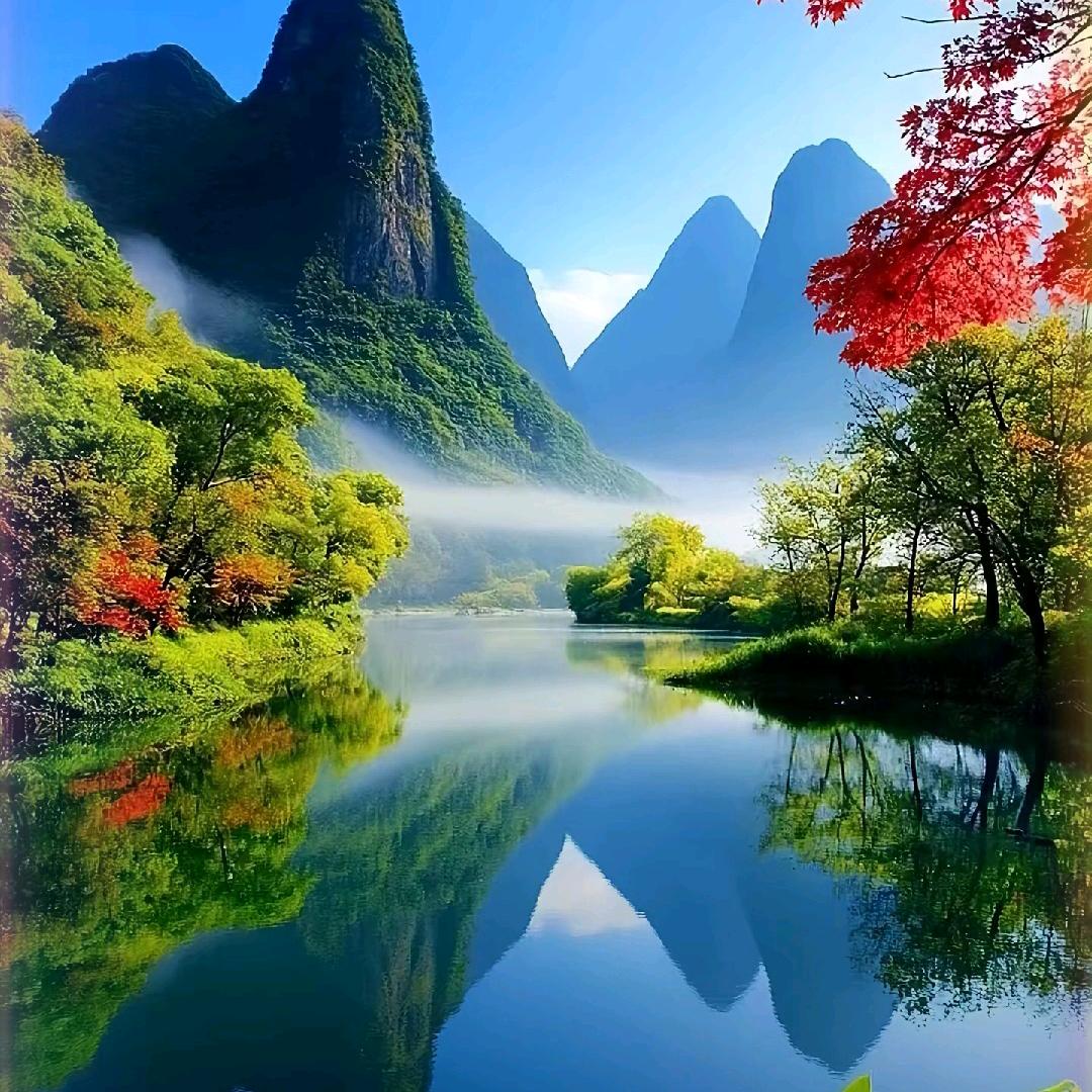 🌷淡然若水🌷