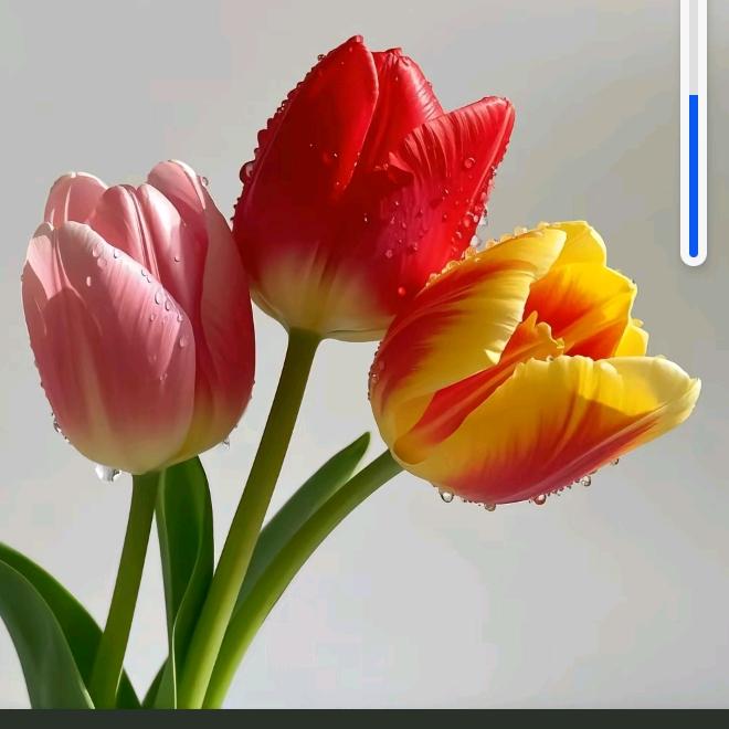 广州芷悦欣贸易有限公司