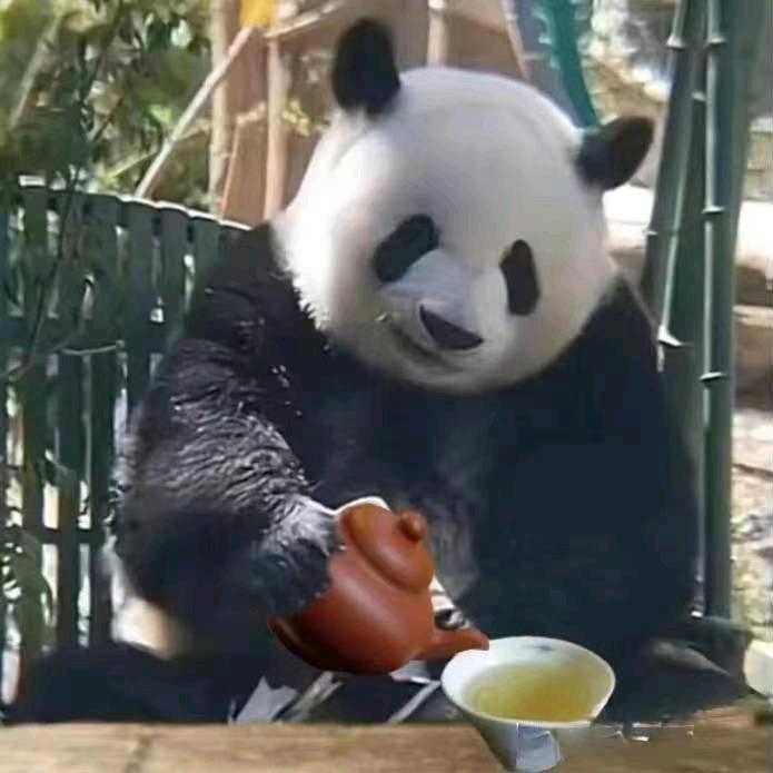 呵呵(ꄱੈˍꄱੈ)