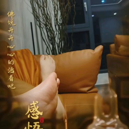 金高峰卤味