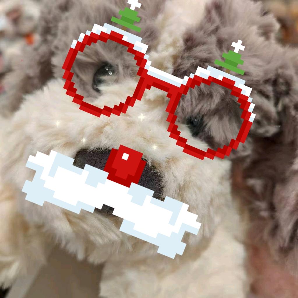 讨厌米饭想吃面