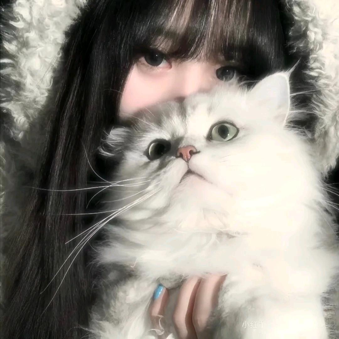 茉离