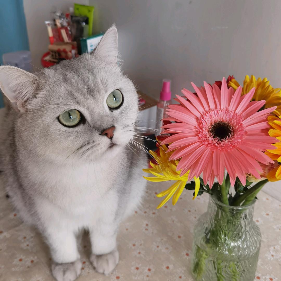 Sunday喜欢钓鱼竿