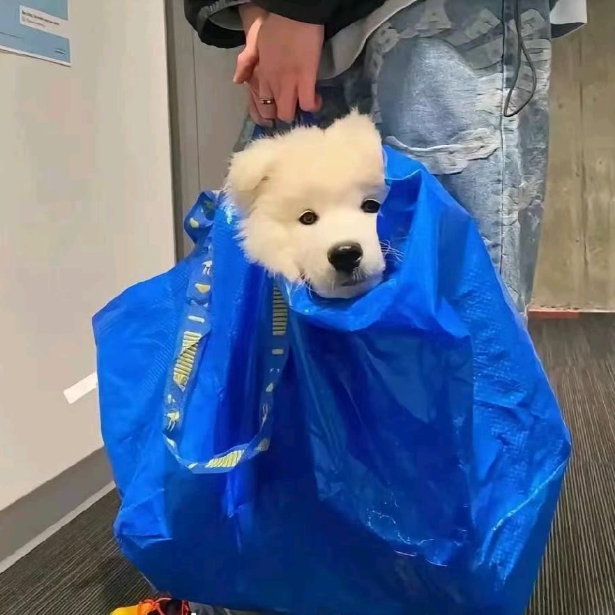 -/：；（）—@“…～、”