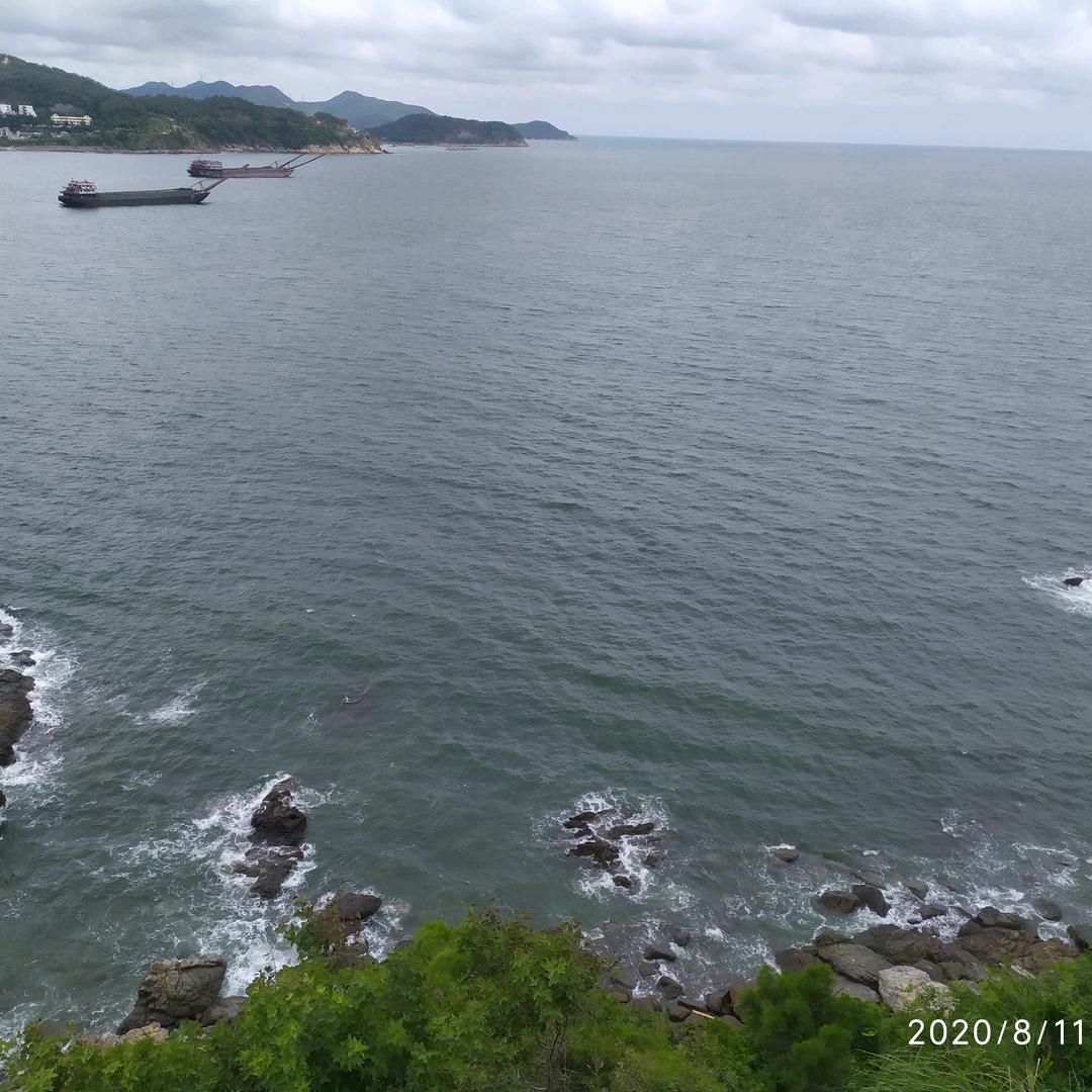 龙