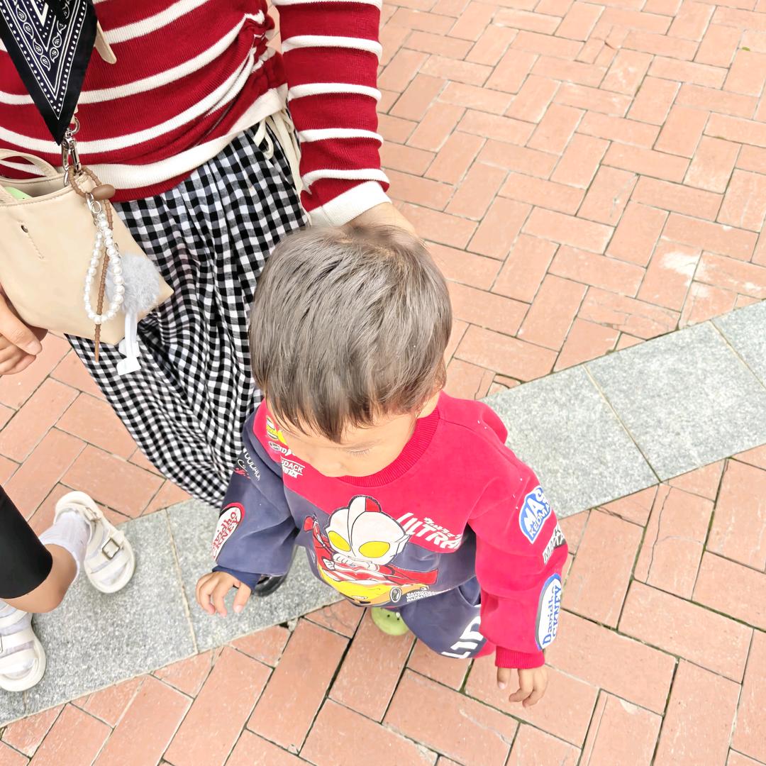 蝴蝶桥堡堡巴士