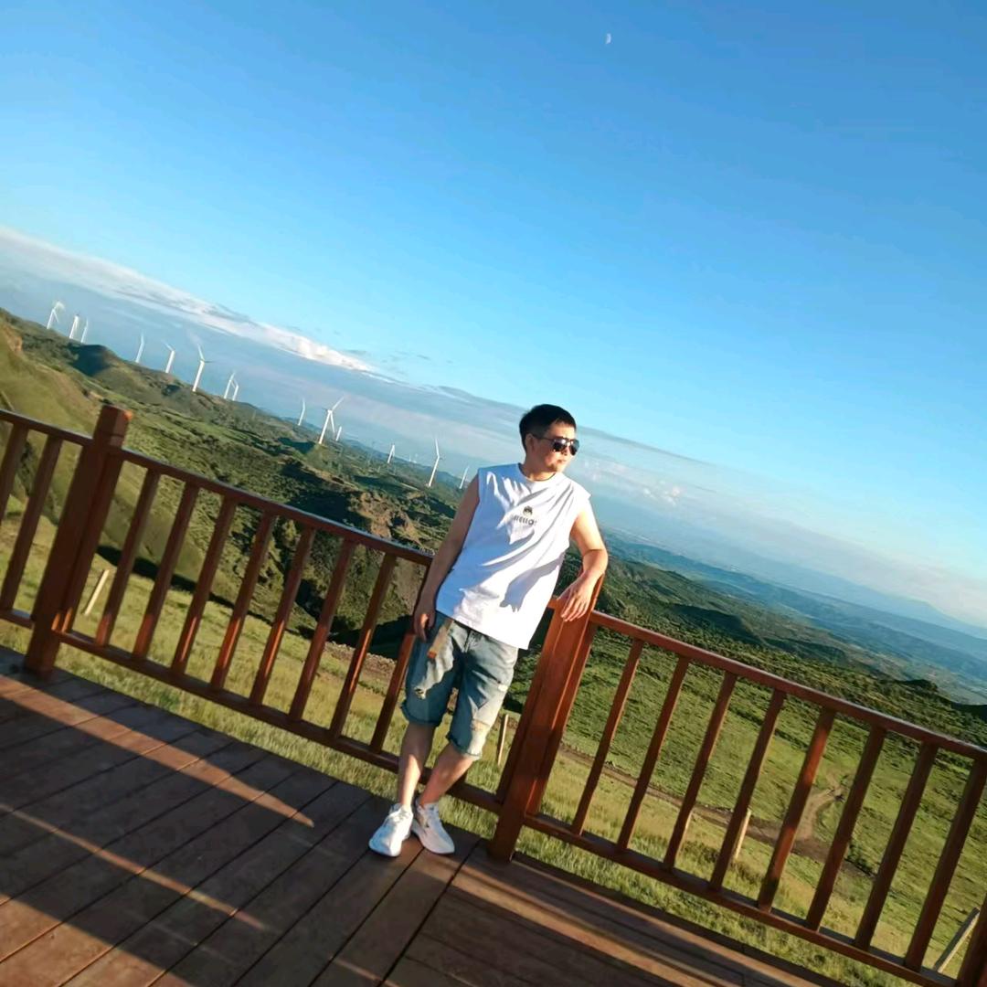 杨阳026033