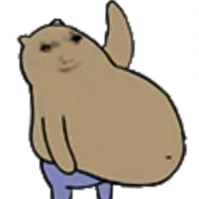 皮蛋