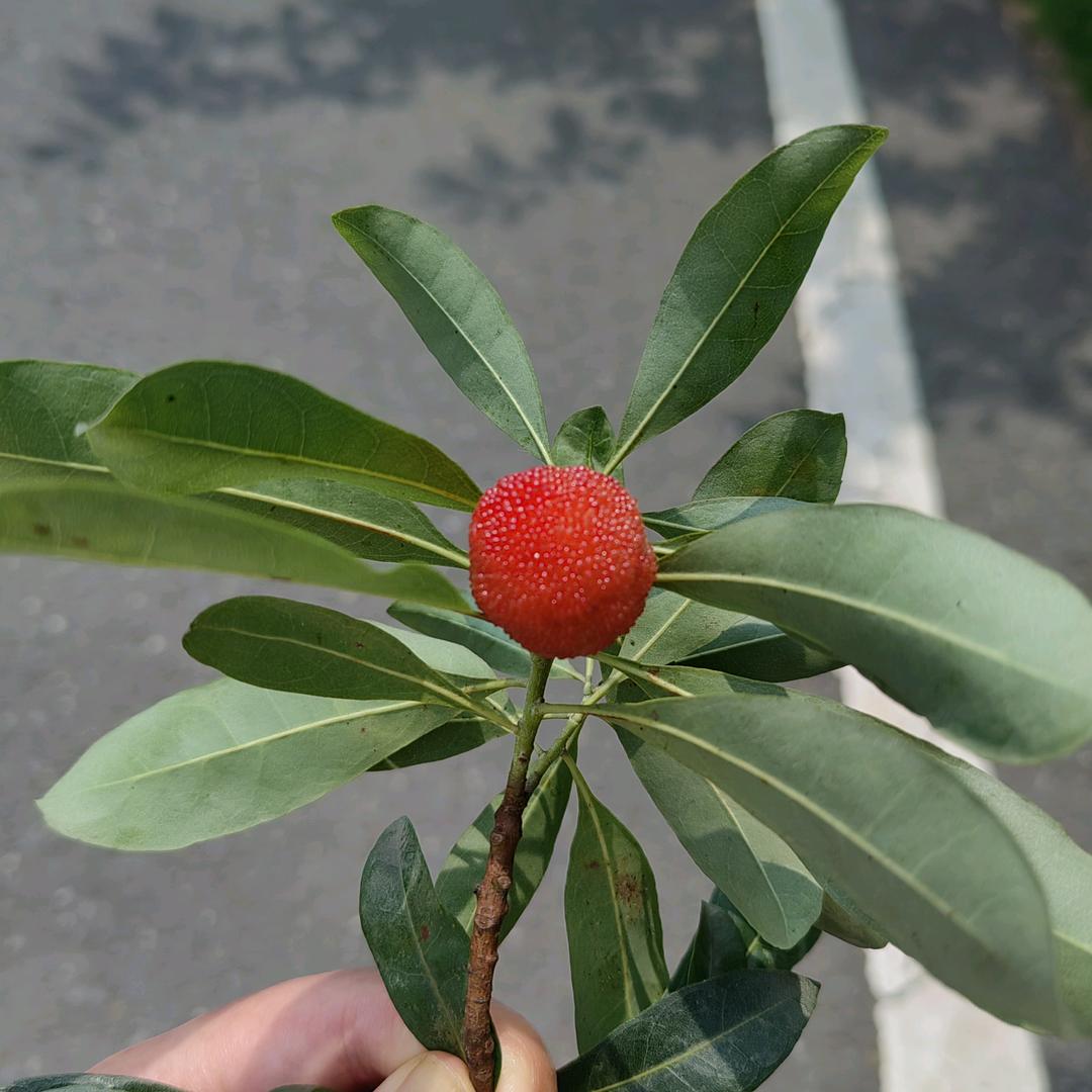 806可爱小熊（拒私聊）