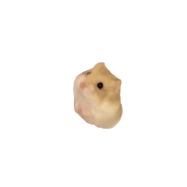 imvaska