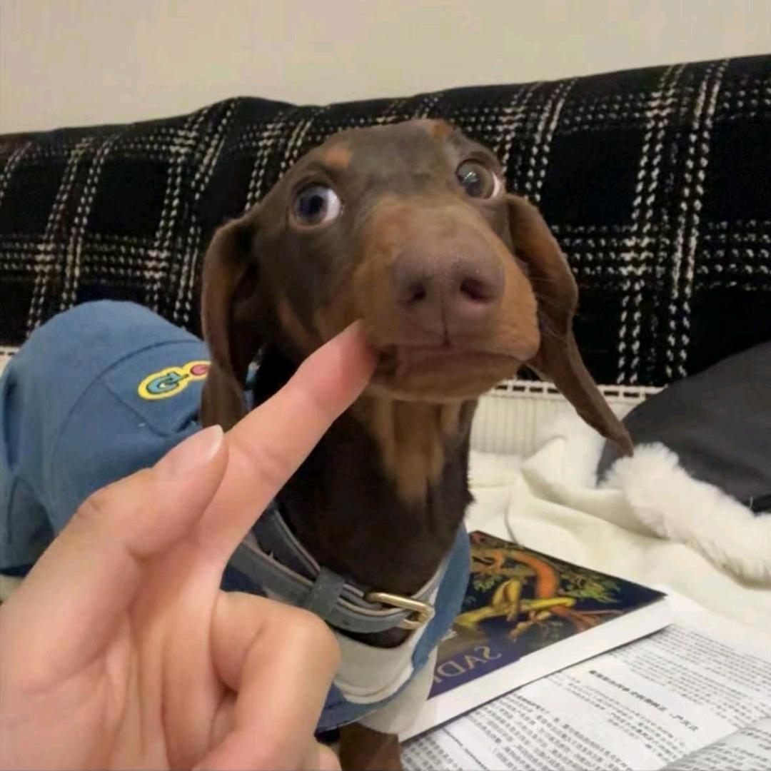 ..多加香菜