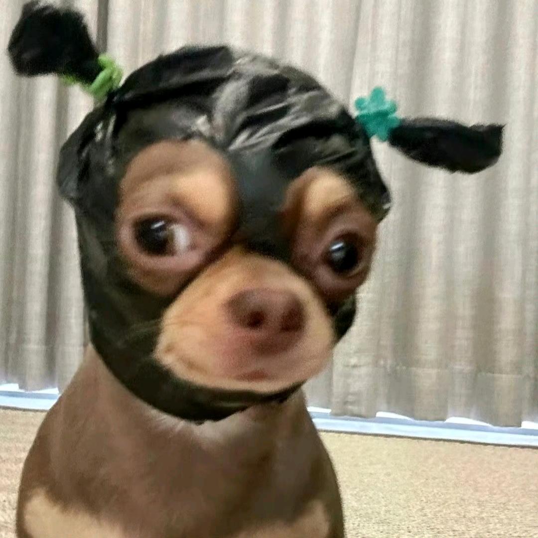 妈妈爱😈