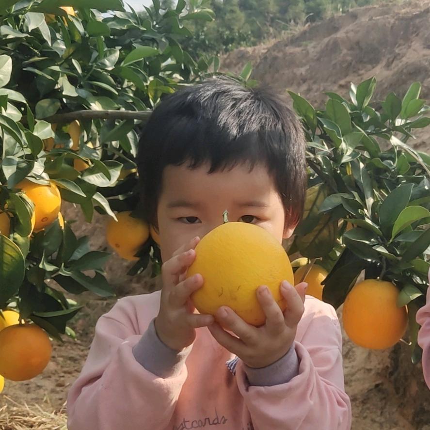 开心的西瓜