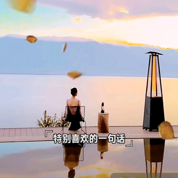 那就是我那又怎样