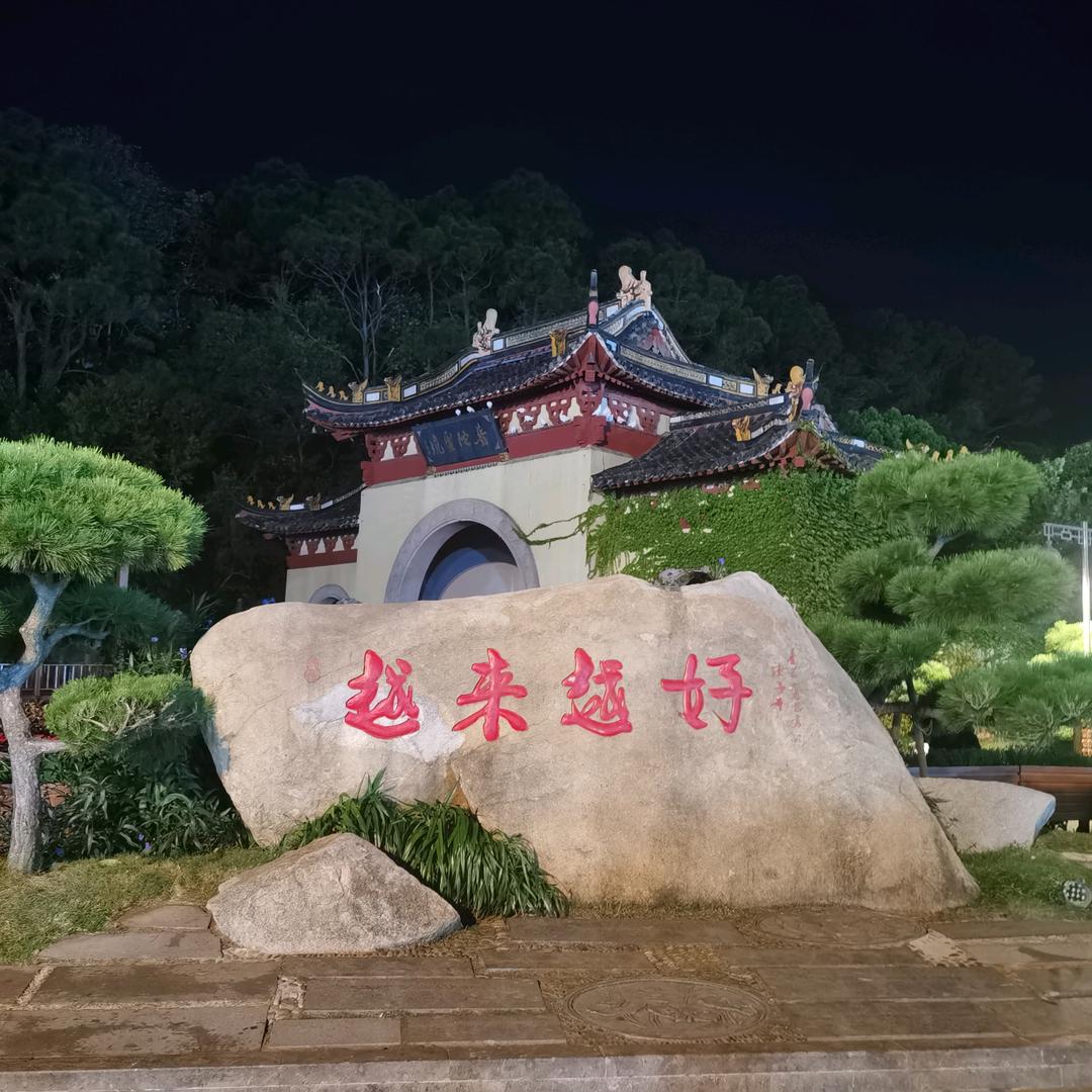 🌿🌳阿仙