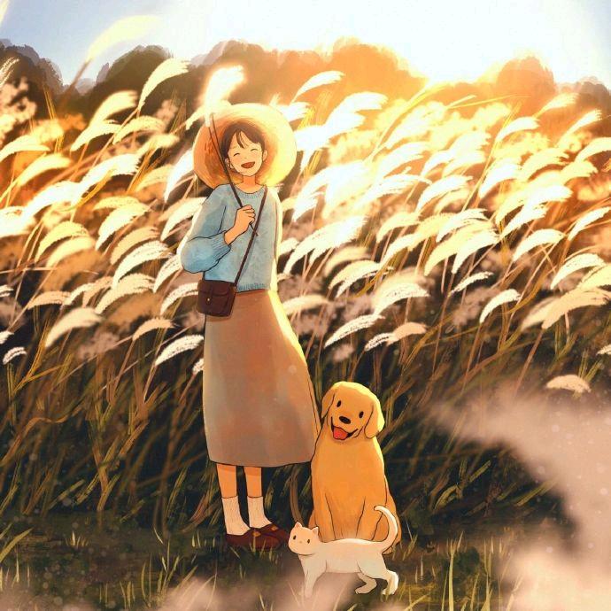 湖在海外骑之灶科技