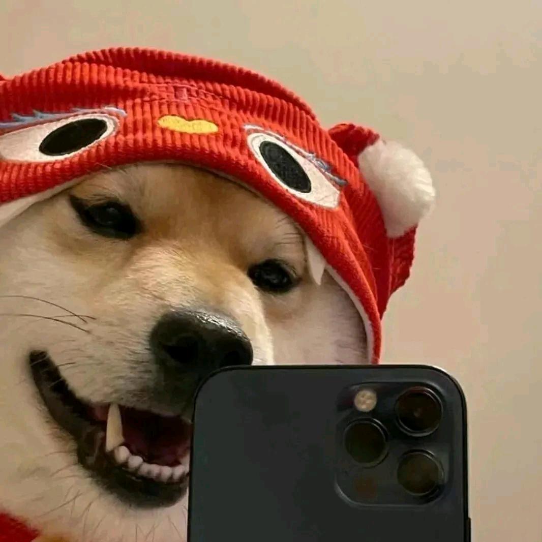 梦动7382953云842直播号