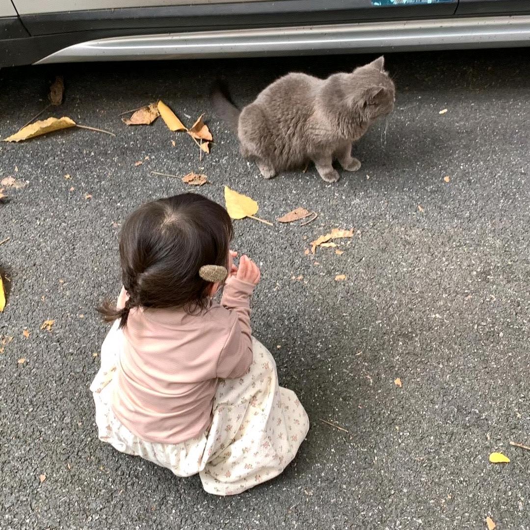 我又困了