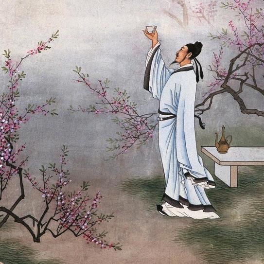 寻梦龙虎山