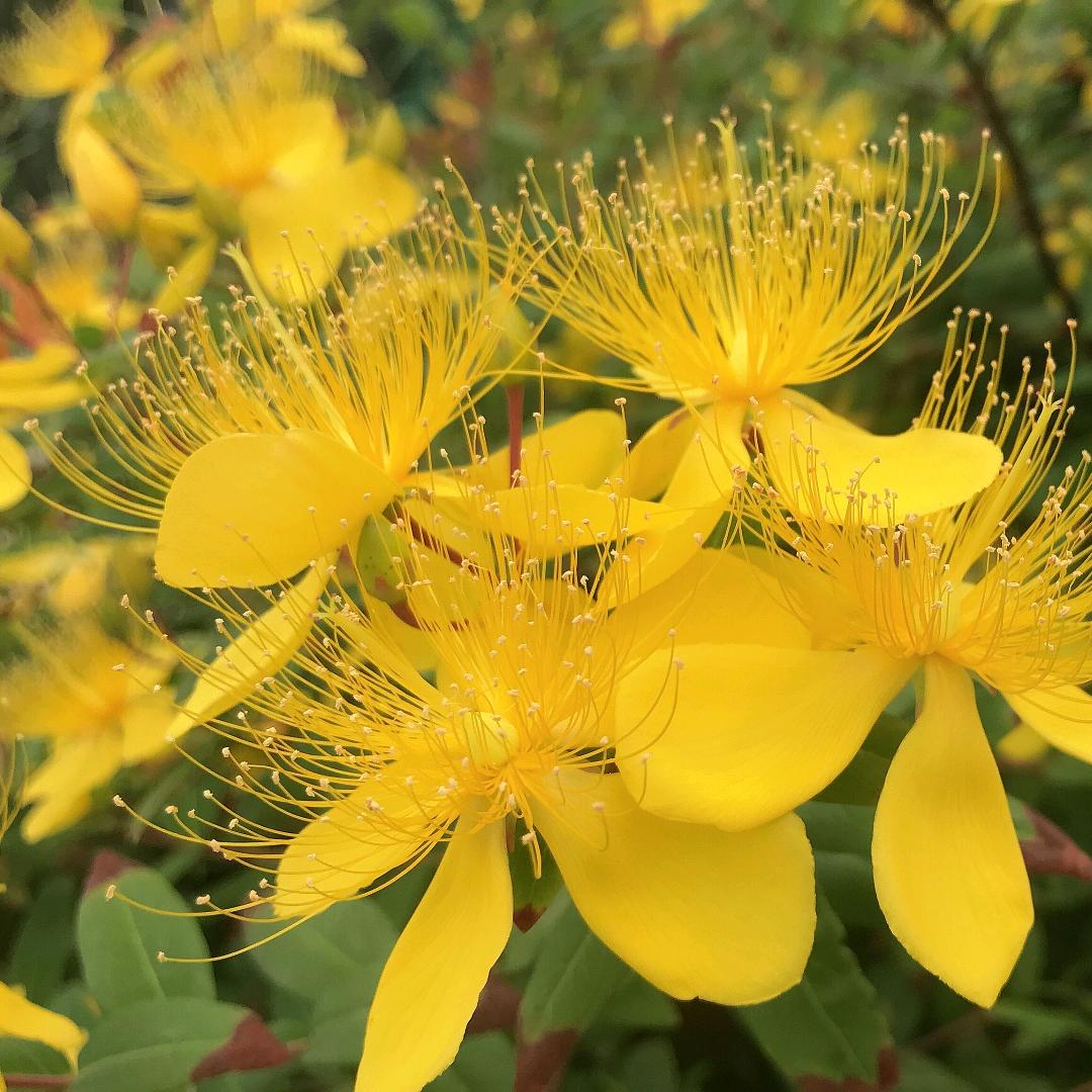 ᨳᩚᤢᤣ余生随心ꦿ້໌ᮨ࿐