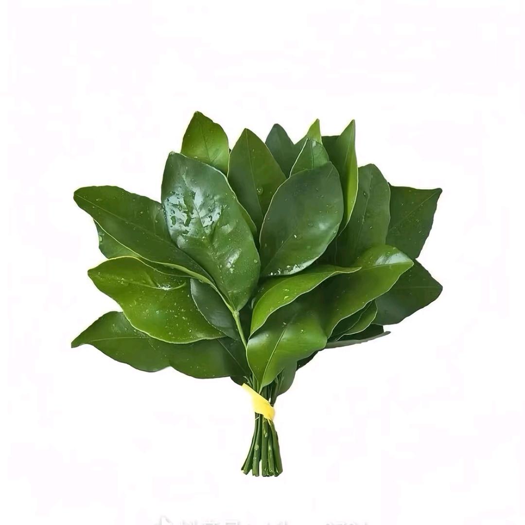 ◂ ᙚᵐⁱᒻᵉ¨̮♡⤾＂