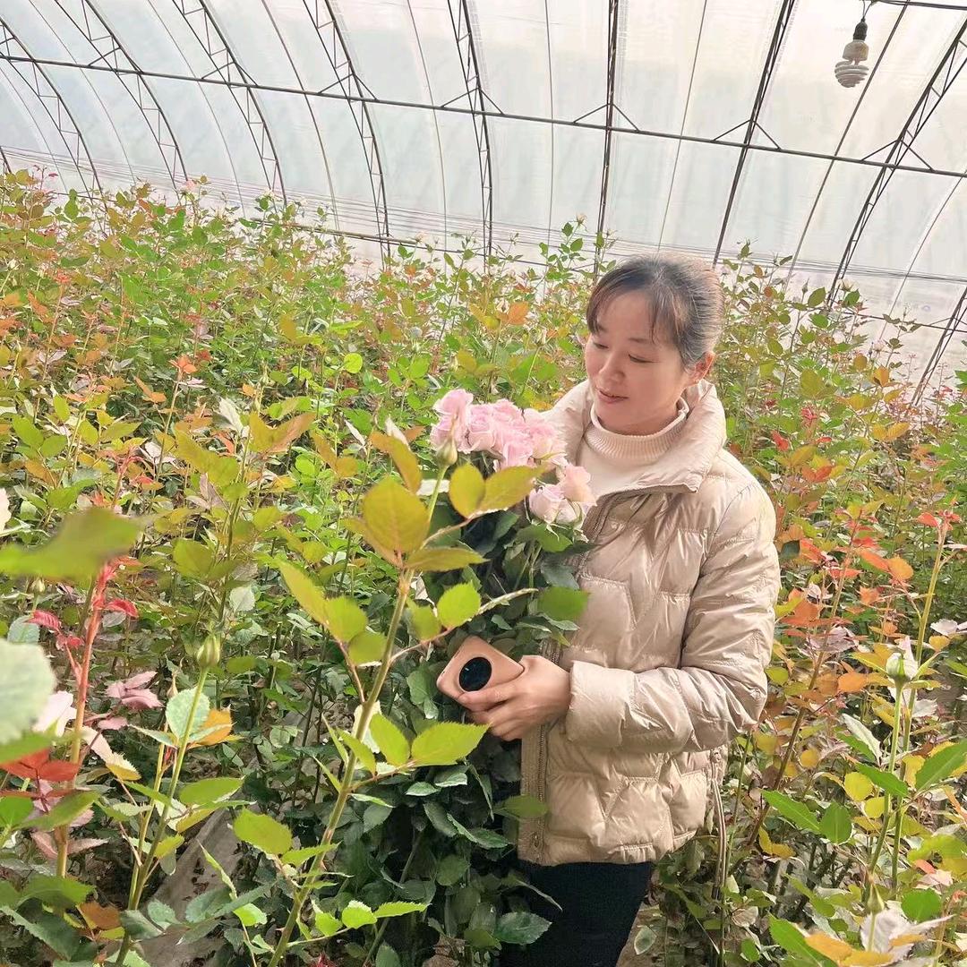 调兵山市洪玲凯特琳国际洗衣