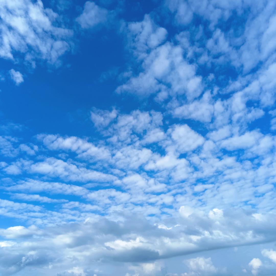 雨儿是个小仙女😘