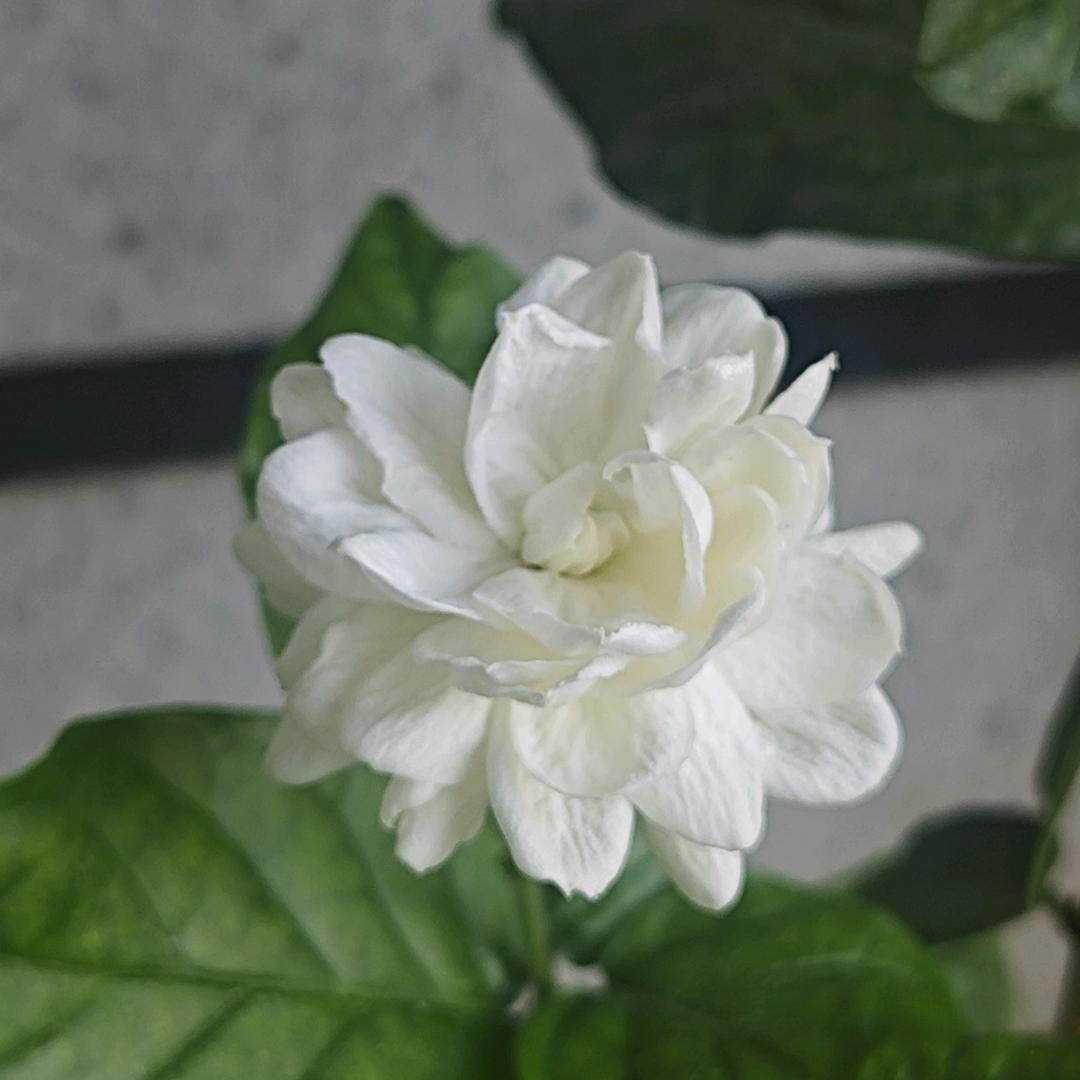 平心静气看未来