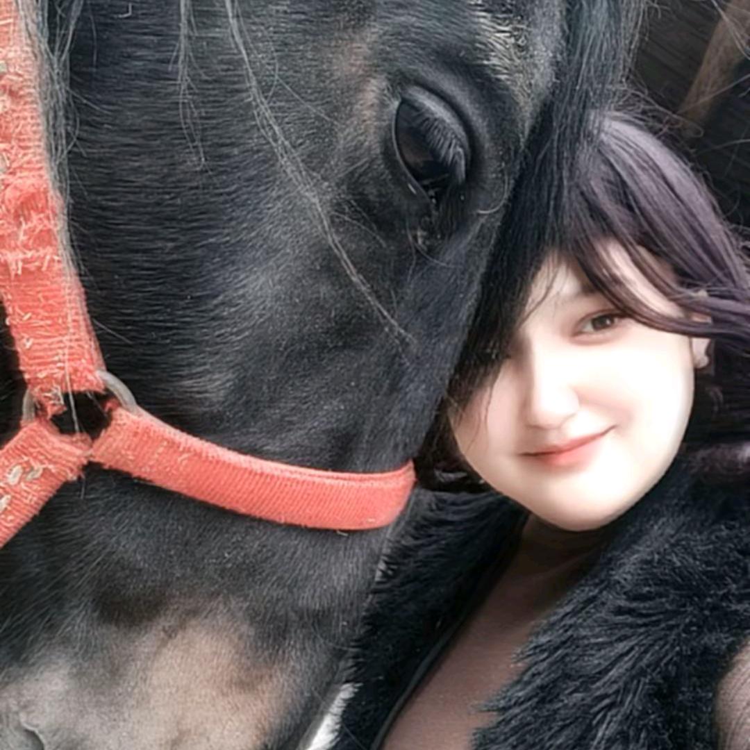 新疆胡玛🐴