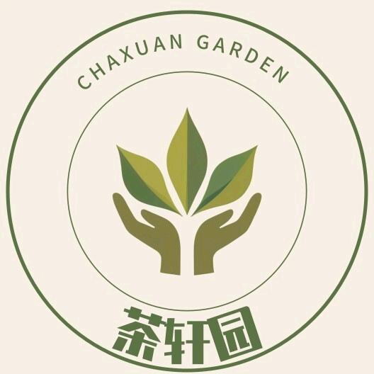 茶轩园