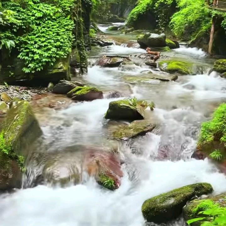 石灰