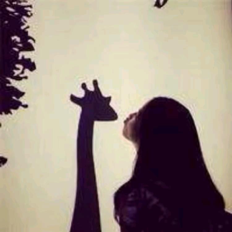 ఠ_ఠ墨💫瑾🌙宁