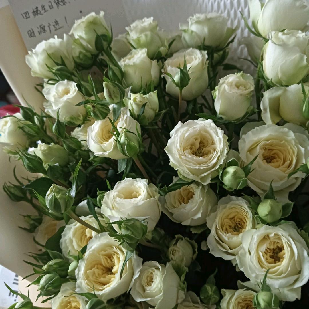 李来  🧡ྀིྀི 我王❤