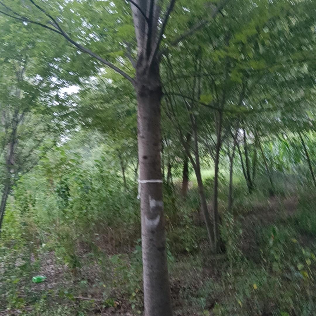 财富运势