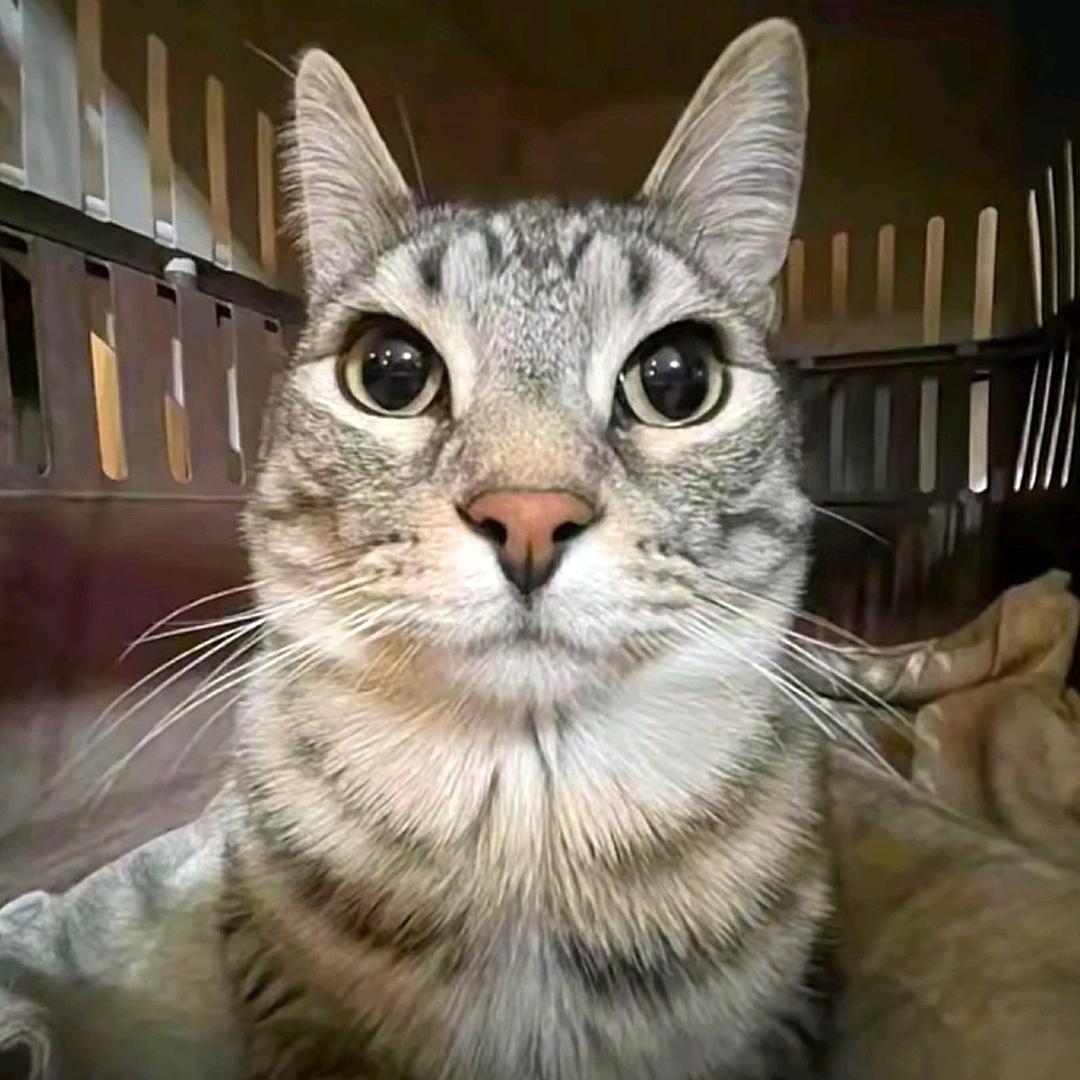 飞机票(世一穷)