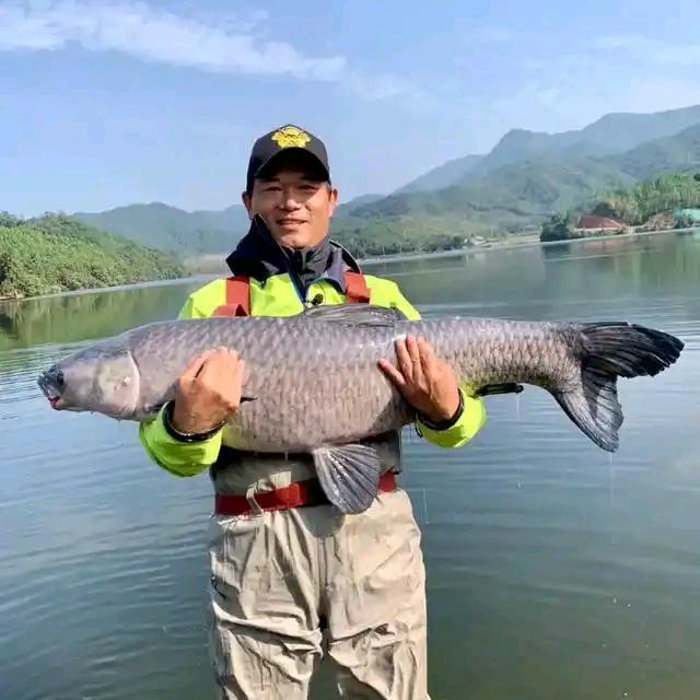 好厨意贸易商行