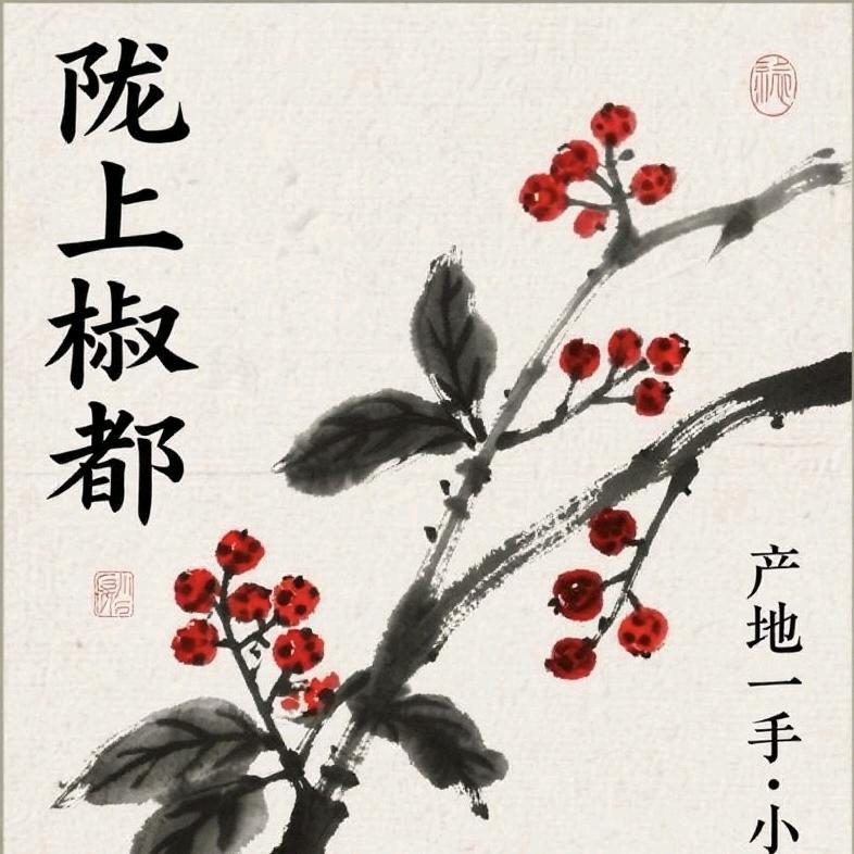 武都花椒陇上椒都