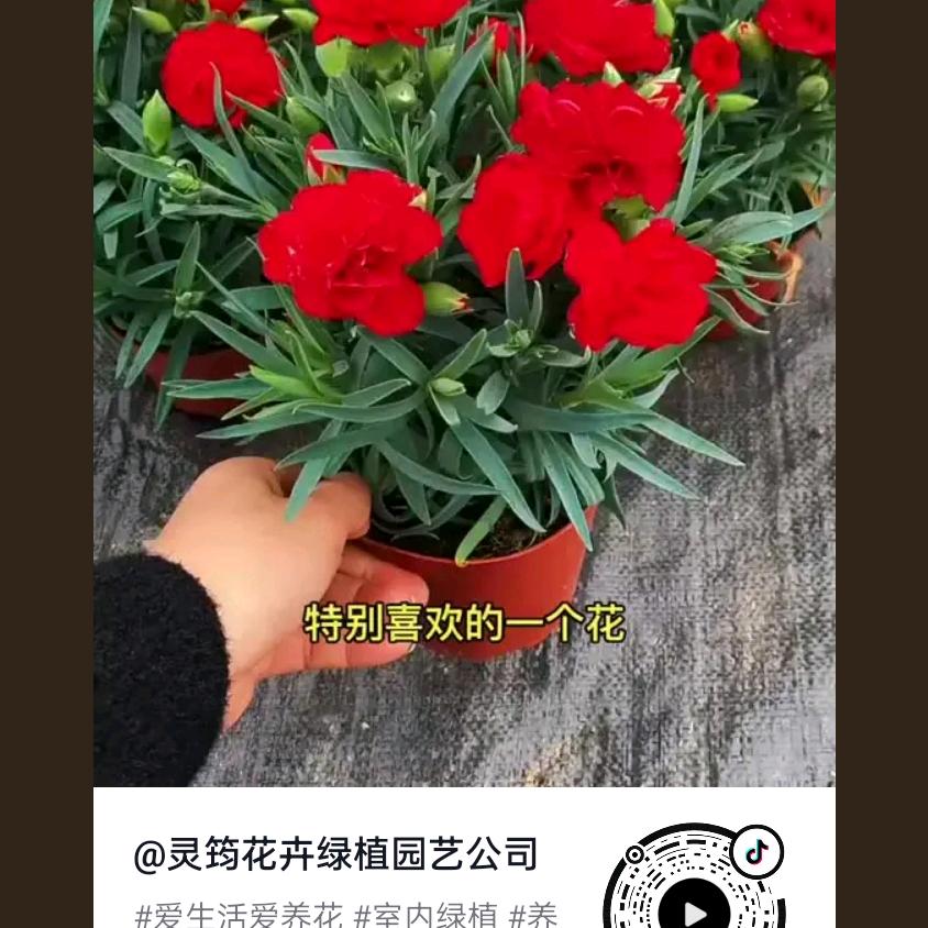 何书抗