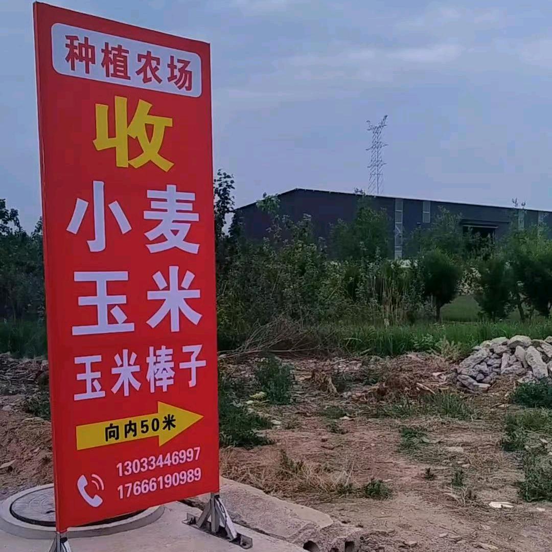 小小领导种植农场