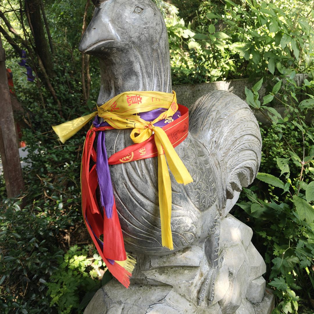 单身伤害一路走来🐓