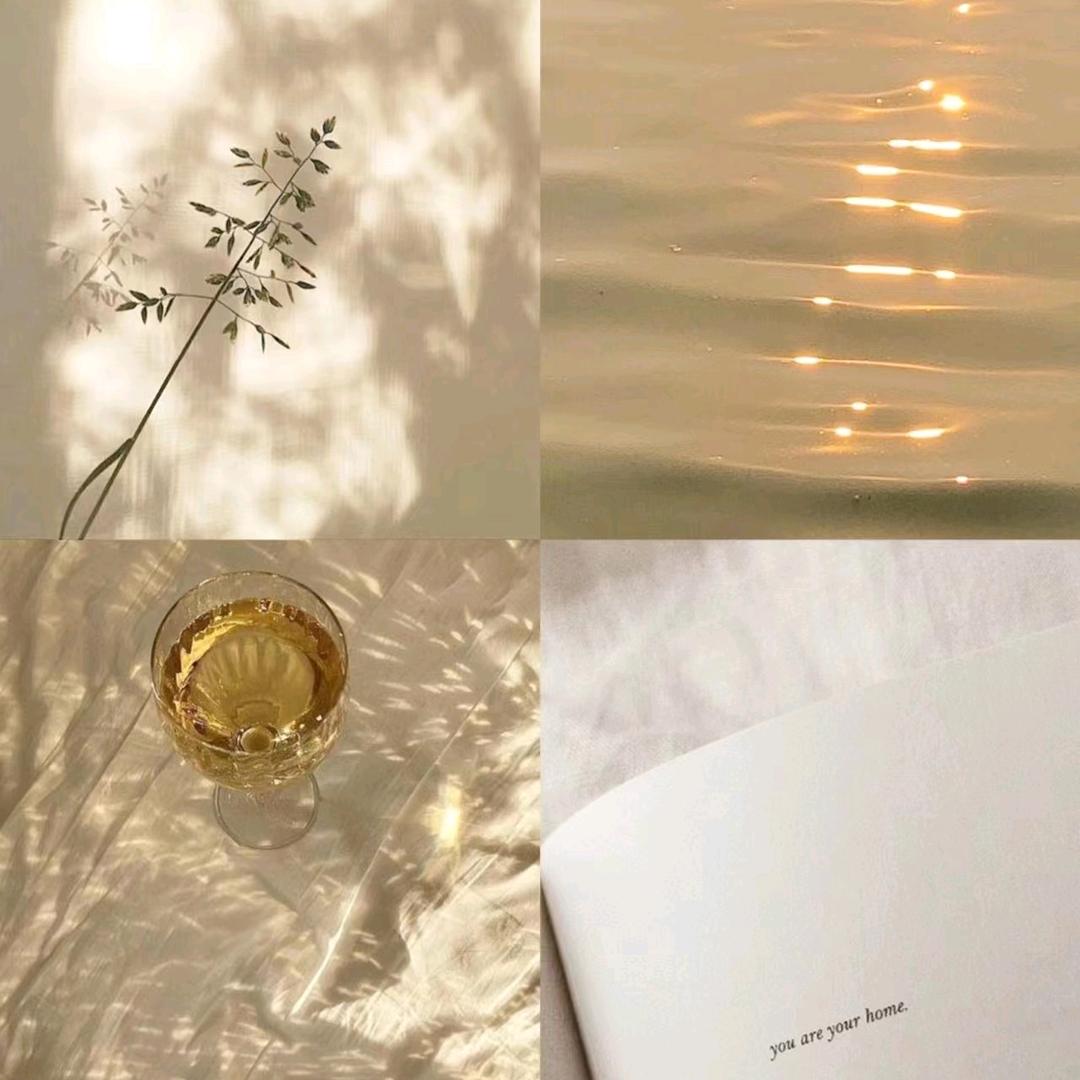 小姐姐的买手店（邵阳学院明德楼对面）