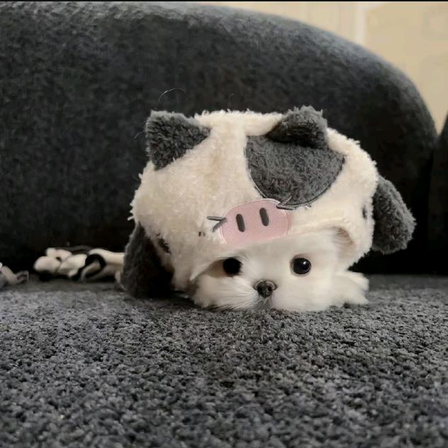 斑驳.