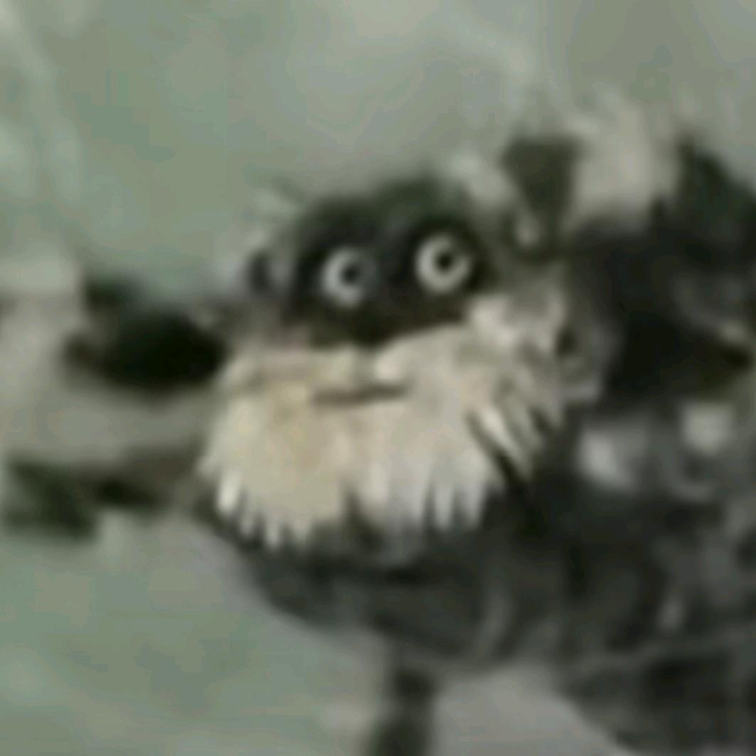 (ฅ∀<`๑)╭（三角洲代肝）