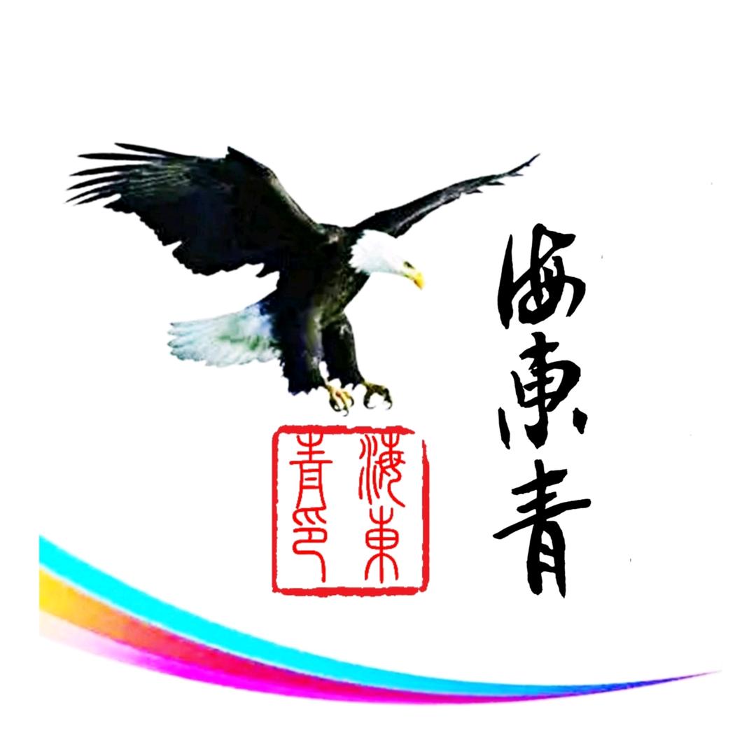 海东青