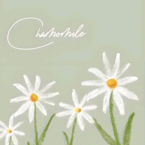 এ查无此人ོ꧔ꦿ