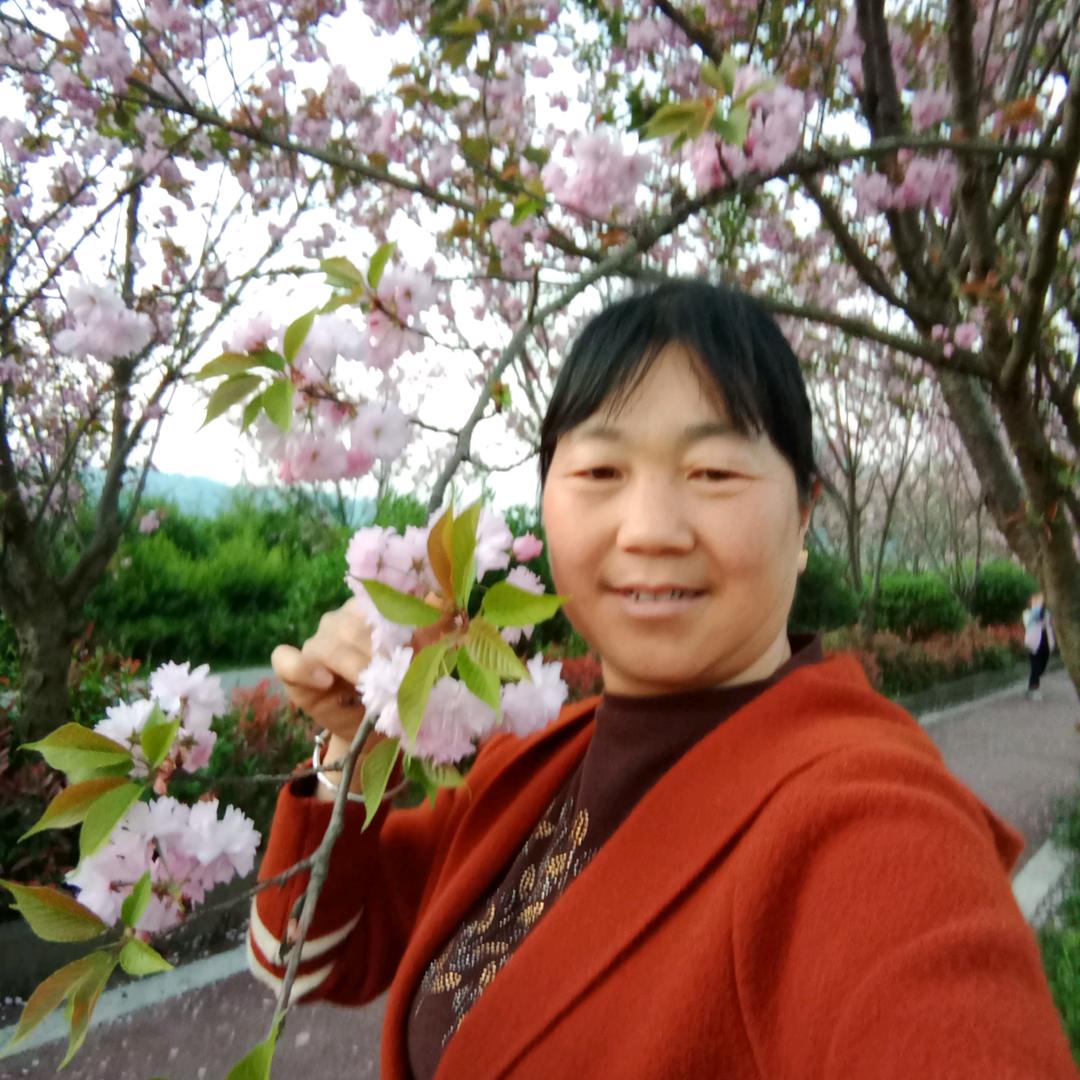 农村姐