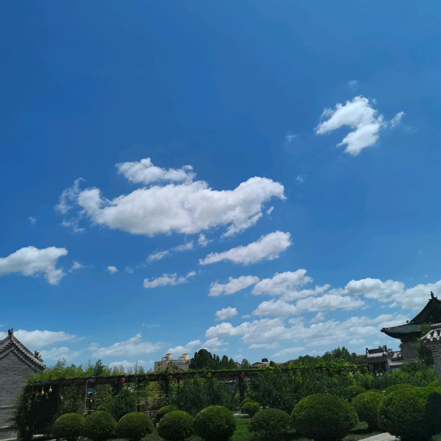 ( ˘ω˘ 三˘ω˘ ) …